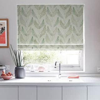 Roman Blind Tranquillity Fern