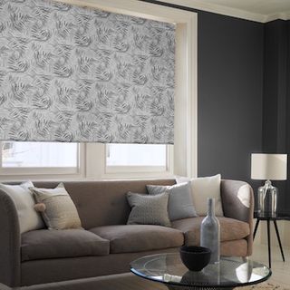 Hothouse black roller blind