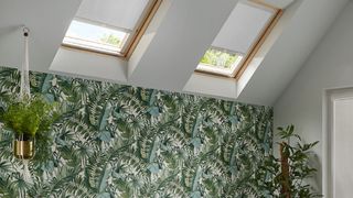 Room with tropical plant wall paper and two Skylights fitted with Acacia Silver roller blinds