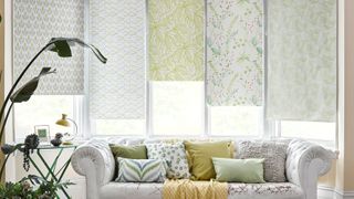 Petula Olive, Tropical Garden Green and Greenery Tropical roller blinds in window