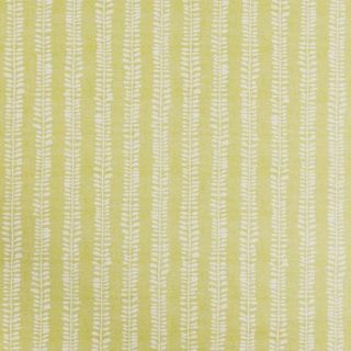 Lotta Citron