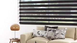 Day & Night Enlight Cascade Jet roller blind hung in living room in the open position