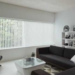 White vertical blinds in the living room - Alba Jet Vertical blinds
