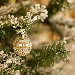 bauble on christmas tree