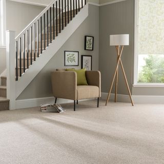 Hothouse Green roller blind with Sherwood Berber Carpet