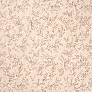 Delizia Blush