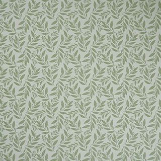 Folia Sage