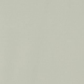Light green fabric swatch