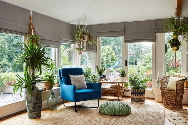 A conservatory with lots of plants and a bright blue armchair