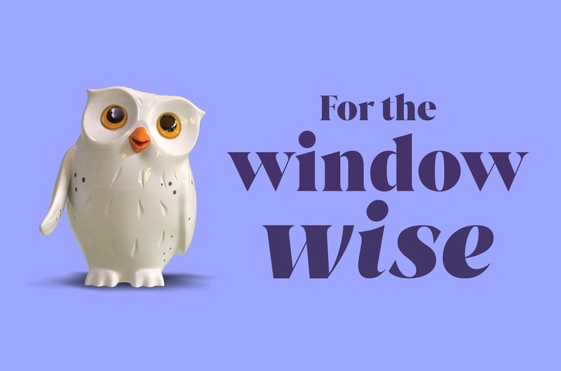Window wise