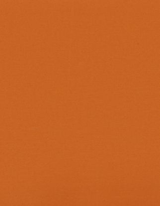 bright orange colour of a swatch called acacia spice