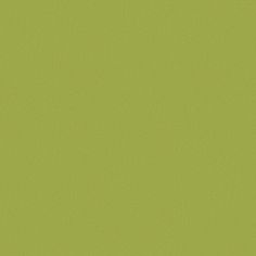Rich green coloured swatch of acacia forest