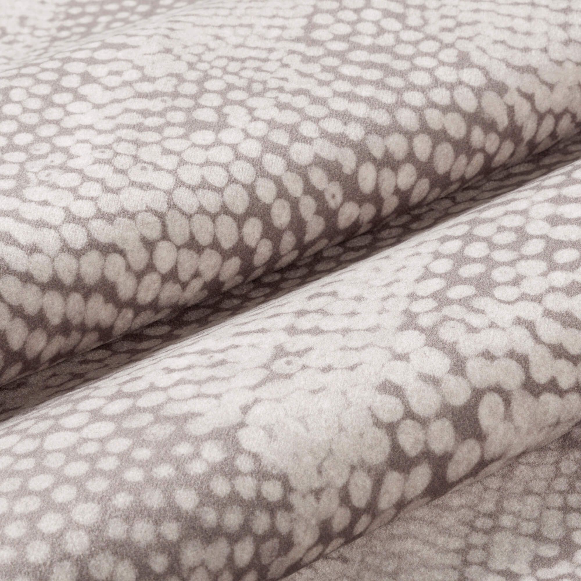 HIL-ABIGAILAHERN-01 Asaro Mink_2