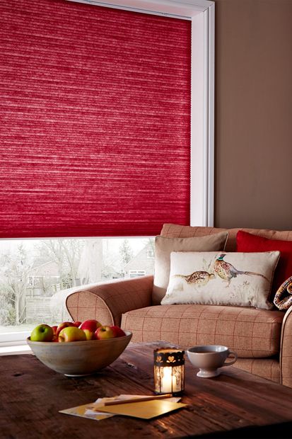 Thermashade Chilli Pleated blind in living room