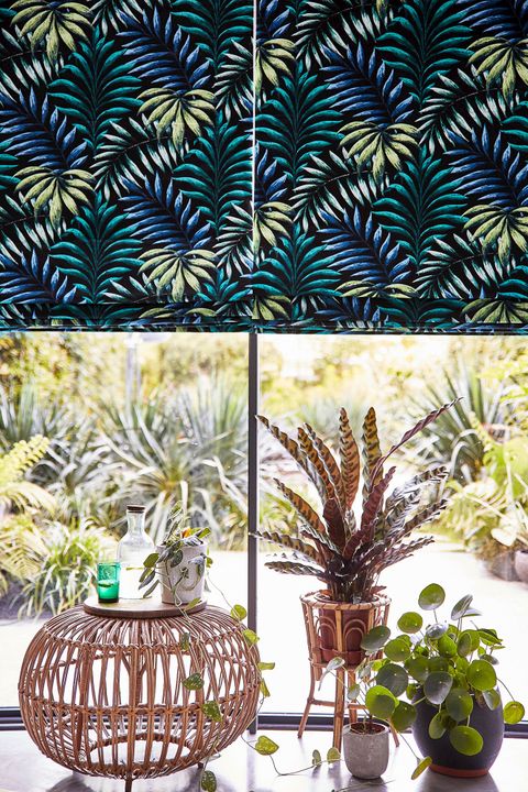 Green and yellow  printed Roman blinds over a window that has plants dotted around on the window sill.