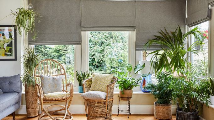 A conservatory filled with plants and wicker chairs