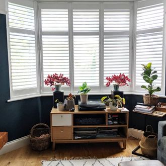 white shutters on windows in blue painted living room