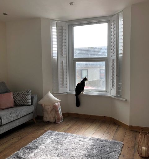 Windows in living room dressed with tier or tier shutters. A cat is sitting in window and a grey sofa have been placed in the room.