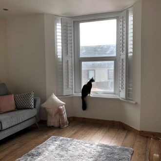 Windows in living room dressed with tier or tier shutters. A cat is sitting in window and a grey sofa have been placed in the room.