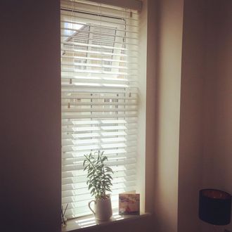 Corner view of room with white wooden venetian blinds hanging on window