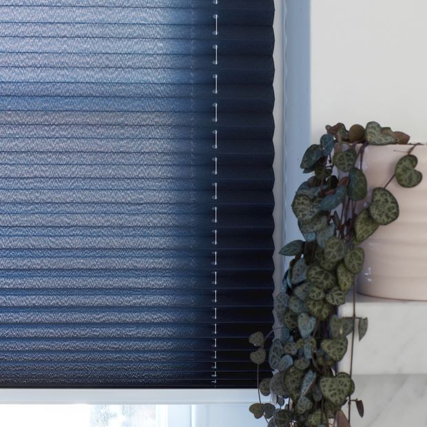 Close up of blue Pleated blinds hanging on window. A trailing plant has been placed near the window.