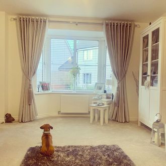 Living room shot front on of bay window with dog looking outside the window- window featuring wooden ventian blinds and creme curtains with tiebacks