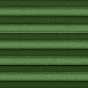 Green swatch for pleated blinds
