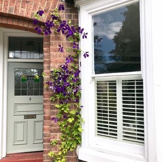 Craftwood/Hampton cafe style shutters from outside with green stained glass front door and purple flowers