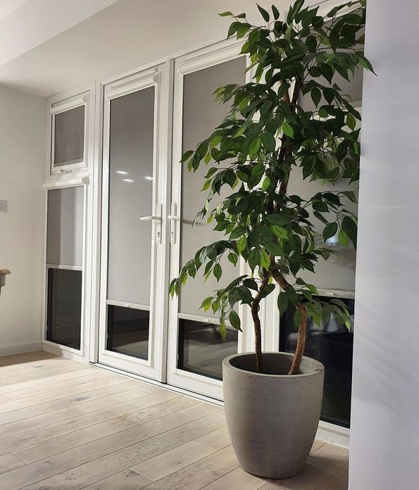 Grey Perfect Fit roller blinds in French doors behind plant