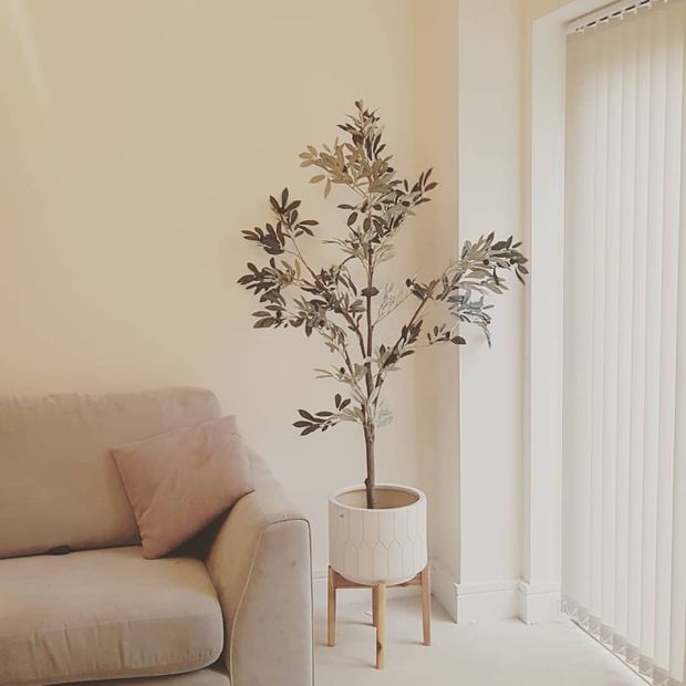White vertical blinds in minimal, neutral decor with tree in white plant pot