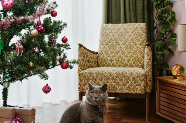 Luxe green curtains and soft white voiles layered in a window behind a retro chair, bright Christmas tree and grey cat