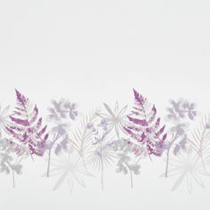 Eden Aubergine swatch is an off white blind with a strip of purple and grey watercolour illustrated floral blooms