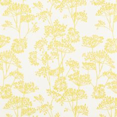 Line drawings of flowers on stems in yellow, on a white background.