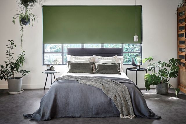 Cordova Pesto Green Blackout Roller Blind in a bedroom with white walls, grey carpeting and potted plants