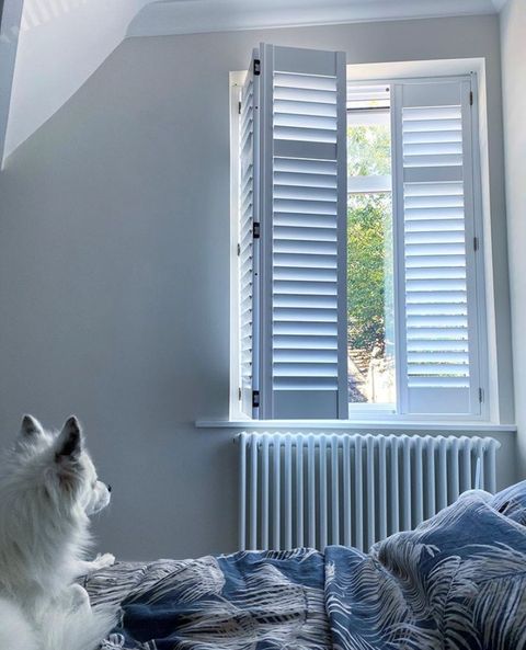 White full height shutters in bedroom window with dog looking out