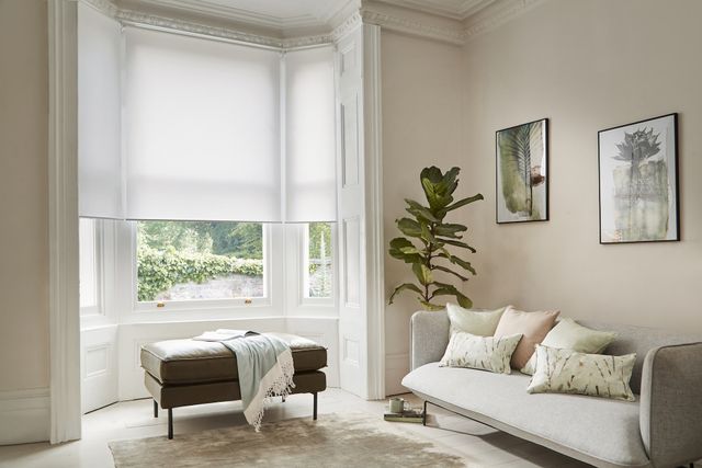 compose oyster roller blind in a bay window. 