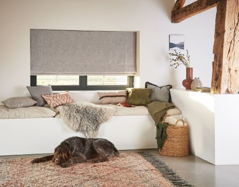 Nest Pewter roman blind in a lounge window with a dog 