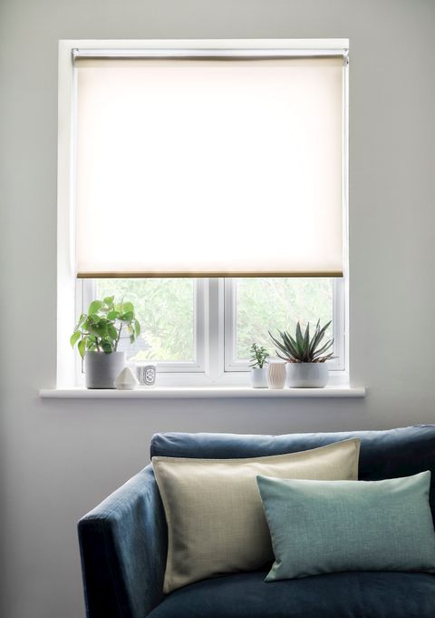 reber cream roller blind with a blue sofa in front of the window and throw pillows on top with potted plants on the window sill