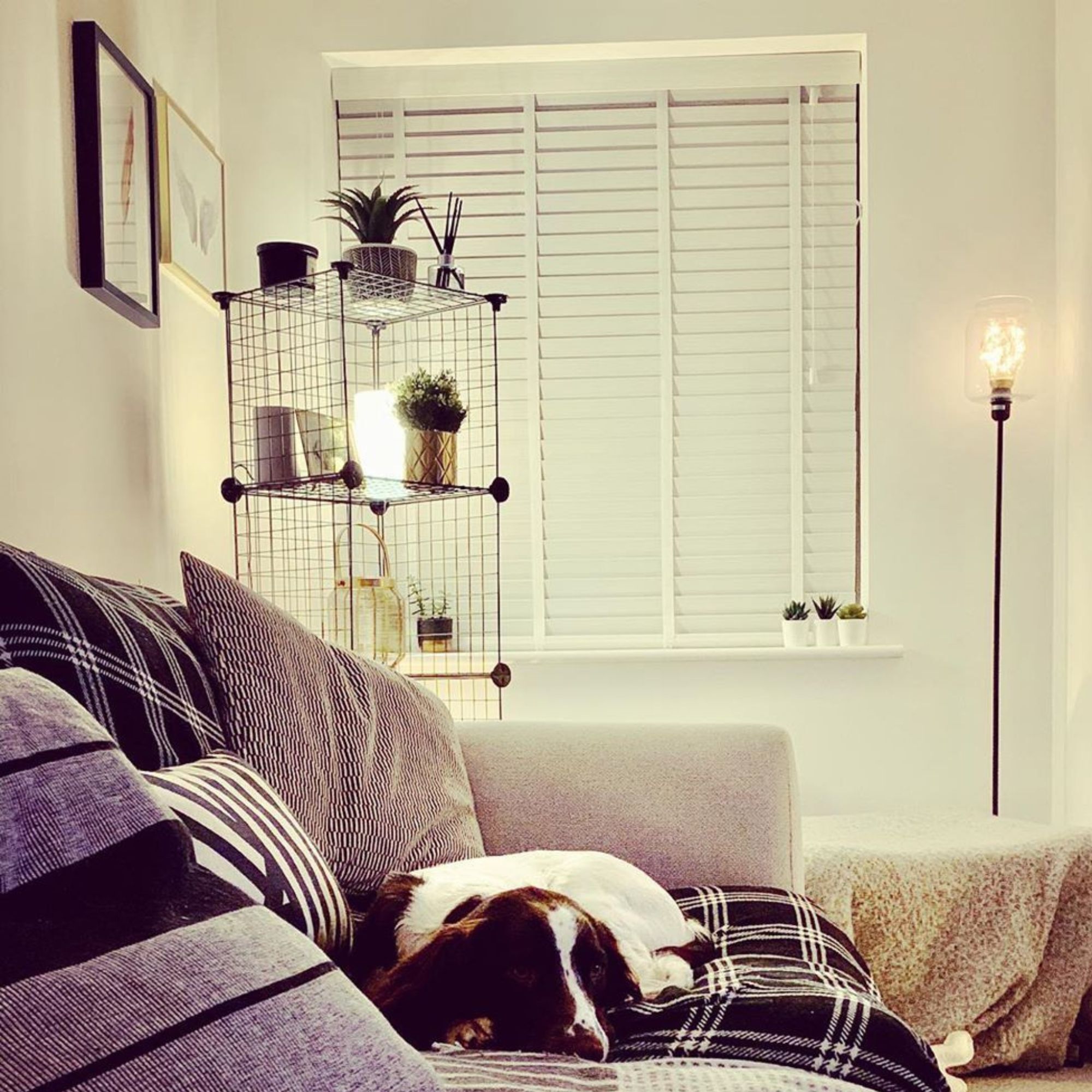 Wooden Blinds 20 Off Our Range Of Made To Measure Blinds