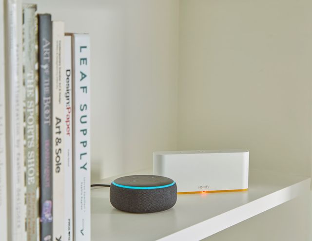 somfy smart hub paired with alexa