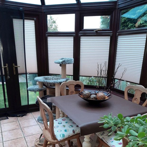 Crush linen perfect fit pleated blinds in conservatory
