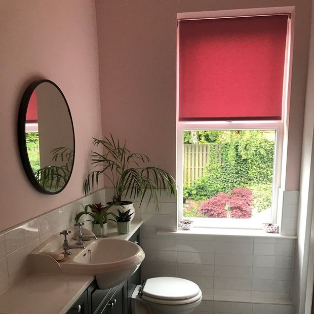 Cordova crimson roller blind in bathroom with plants