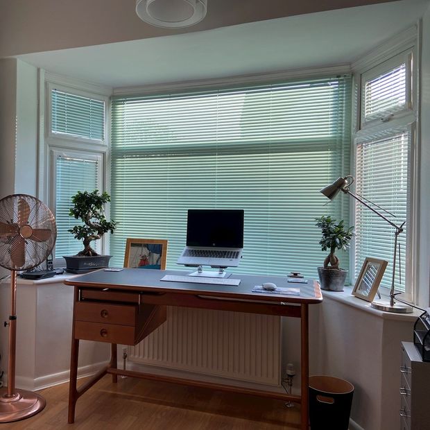 Special finish peppermint venetian blinds in study