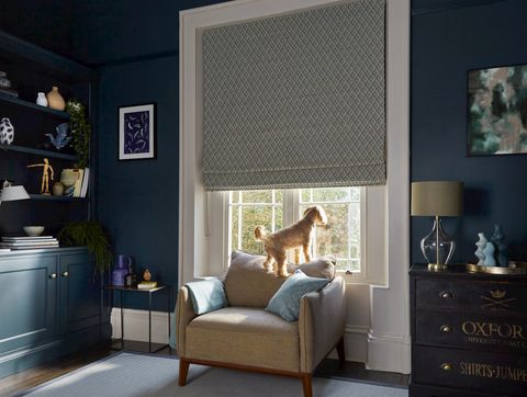 Zircon turquoise roman blinds in living room with dog at the window