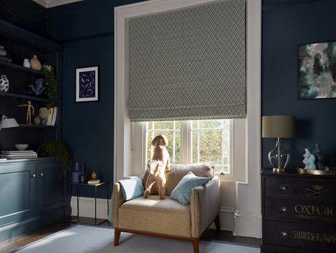 Zircon turquoise roman blinds in living room with dog at the window