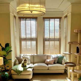 light brown faux wooden blinds on box bay window in cosy living room
