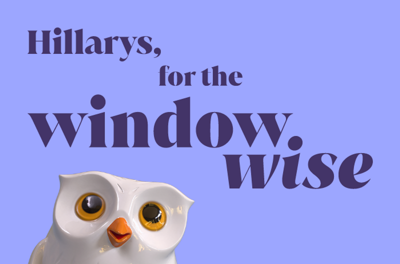 Hillarys for the window wise