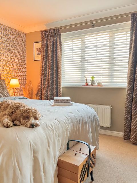 A-dog-resting-on-a-bed-in-a-bedroom-with-Abigail-ahern-curtains-layered-with-faux-white-wooden-blinds-by-Lyndsey-wardman